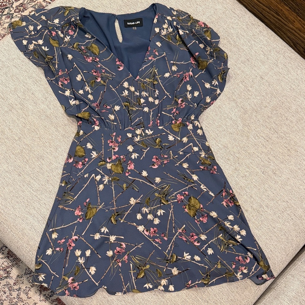 Sugarlips Blue Floral V-Neck Dress with Pink & Cream Blooms